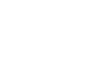 logo-salzworth